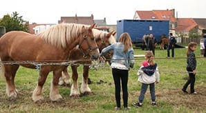 Centre Équestre Municipal de Gravelines et sa ferme animalière dans un écrin de verdure — sortie famille Côte d'Opale